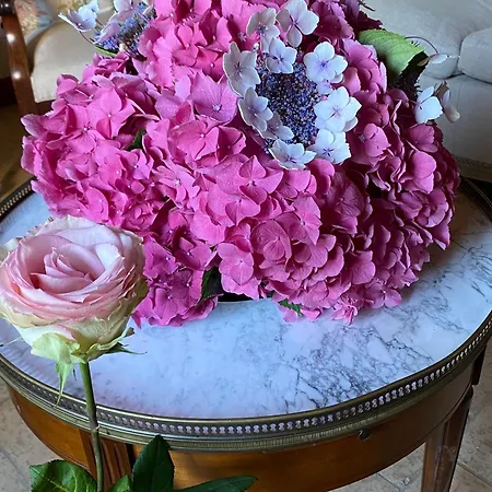 D'hotes Spacieuse Et Tranquille Avec Parking Prive - Fr-1-410-446