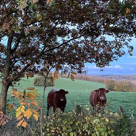 Couette-café évasion Naturelle: D'hôtes Spacieuse Avec Piscine Et Confort à - Fr-1-410-446 *