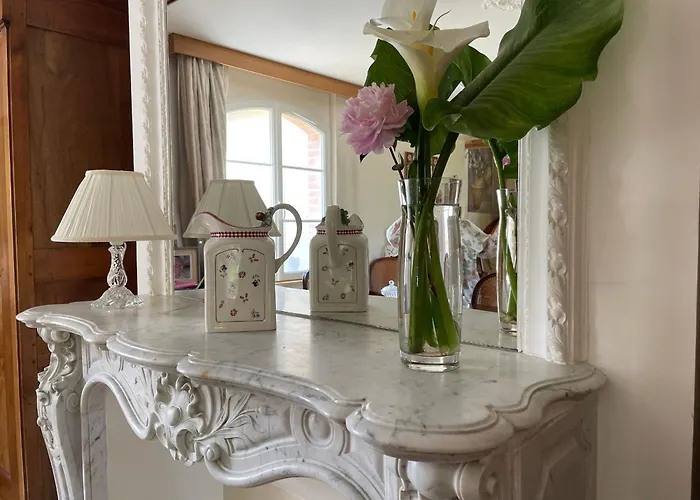 D'hotes Spacieuse Et Tranquille Avec Parking Prive - Fr-1-410-446