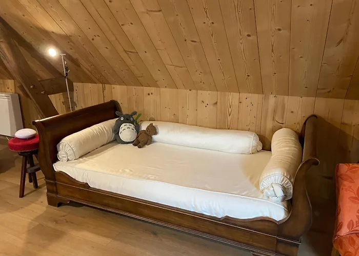 D'hotes Spacieuse Et Tranquille Avec Parking Prive - Fr-1-410-446 *