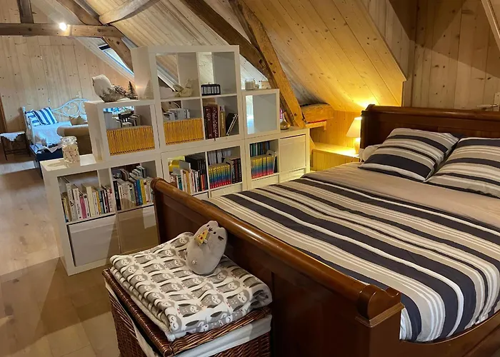 D'hotes Spacieuse Et Tranquille Avec Parking Prive - Fr-1-410-446 Bed & Breakfast *