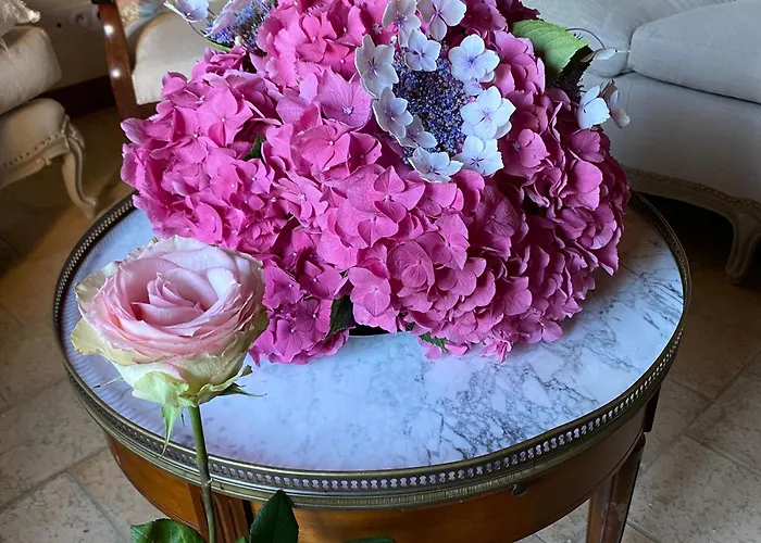 D'hotes Spacieuse Et Tranquille Avec Parking Prive - Fr-1-410-446