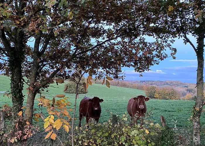 Bed & Breakfast D'hotes Spacieuse Et Tranquille Avec Parking Prive - Fr-1-410-446 *